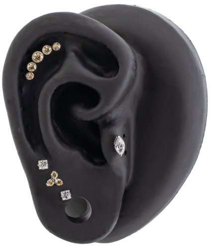 Titanium Internally Threaded- Trinity- Fancy Champagne- Ear Curation