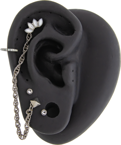 Titanium Internally Threaded- Fleur Ear Curation