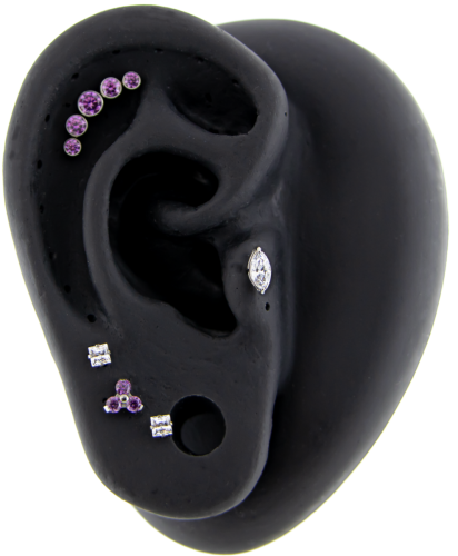 Titanium Internally Threaded- Trinity- Fancy Purple- Ear Curation