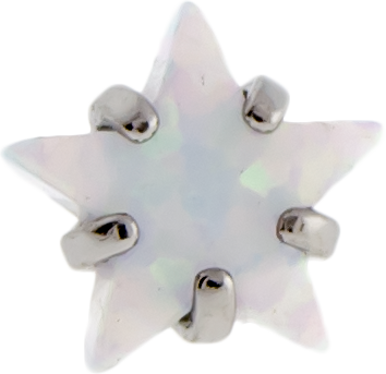 16G/18G TITANIUM PRONG SET OPAL STAR END